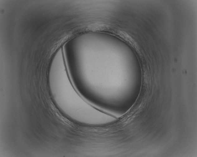 X0000071780393200606300922