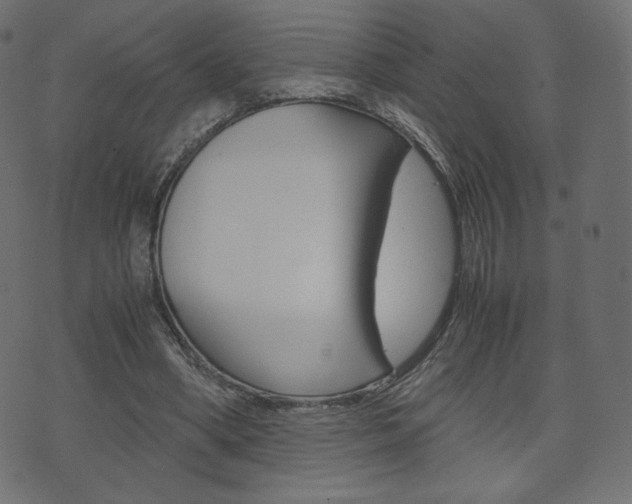 X0000071780394200606300922