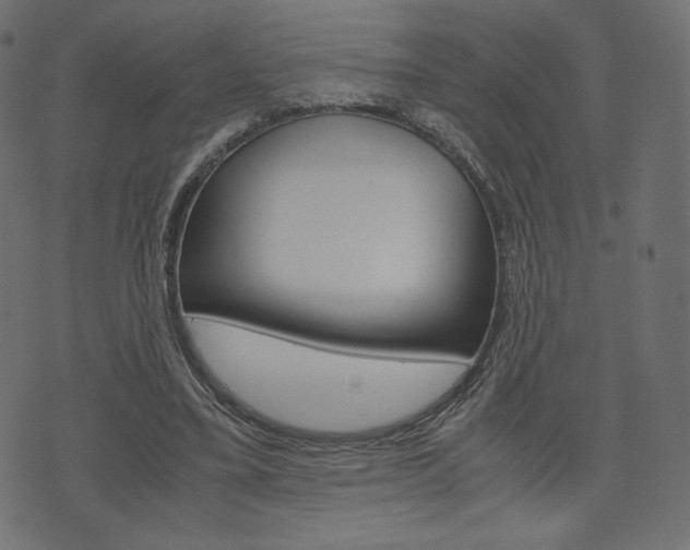 X0000071780395200606300922