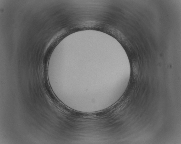 X0000071780396200606300922