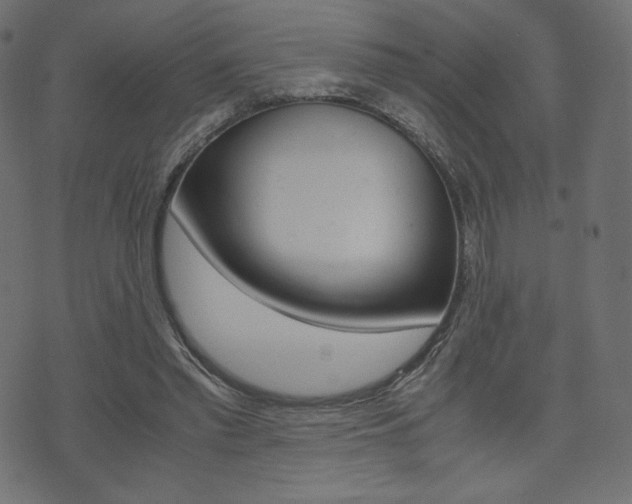 X0000071780397200606300922