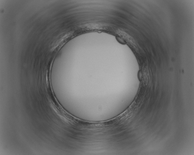 X0000071780398200606300922