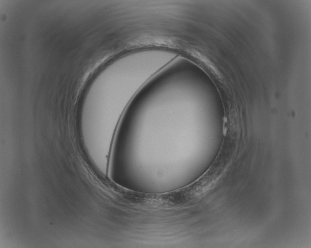 X0000071780399200606300922