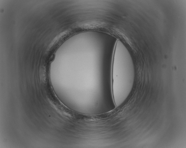 X0000071780400200606300922