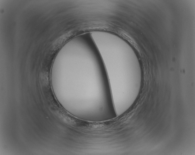 X0000071780401200606300922