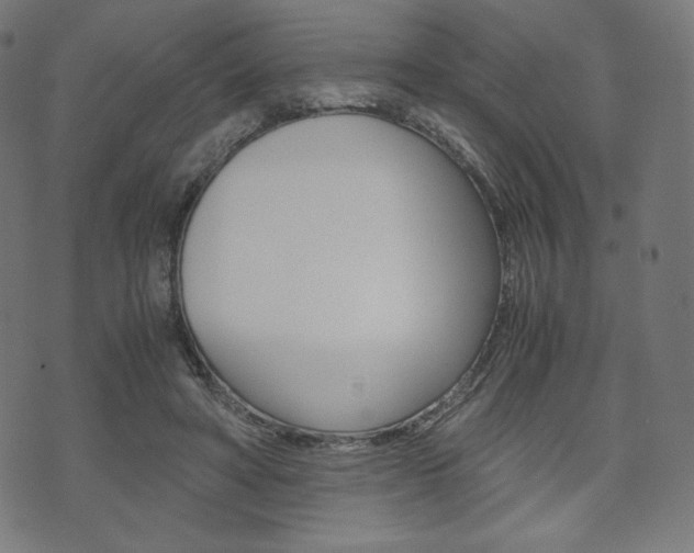 X0000071780402200606300922