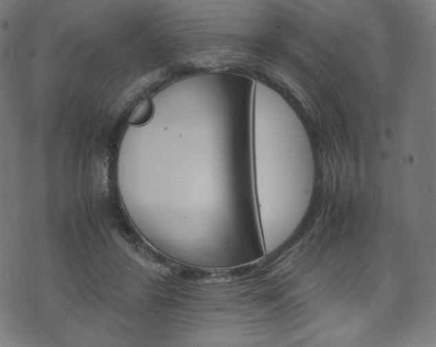 X0000071780404200606300922