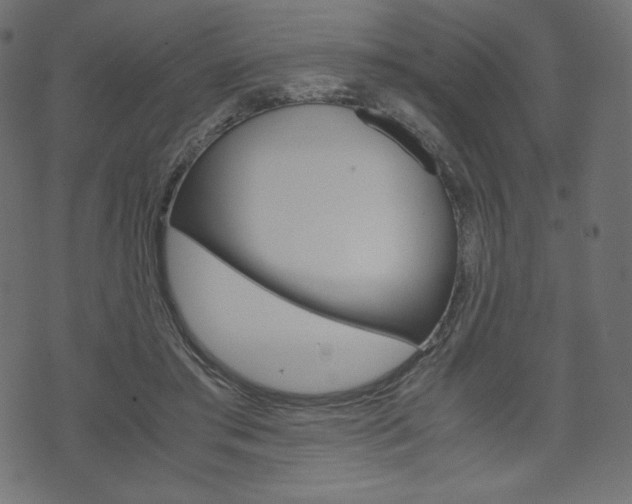 X0000071780405200606300922