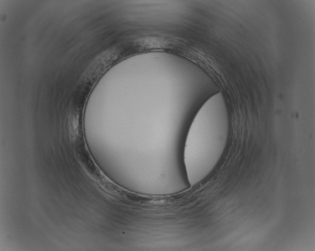 X0000071780406200606300922