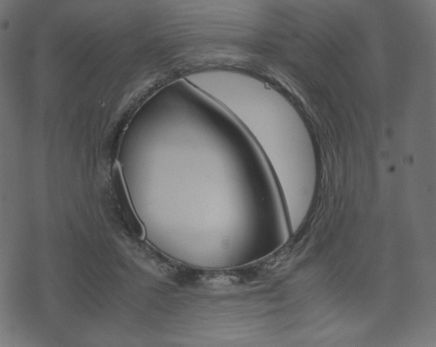 X0000071780407200606300922