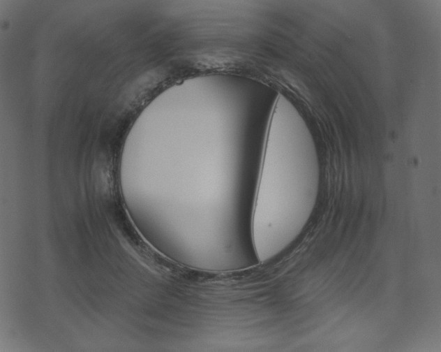 X0000071780408200606300922