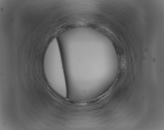 X0000071780409200606300922