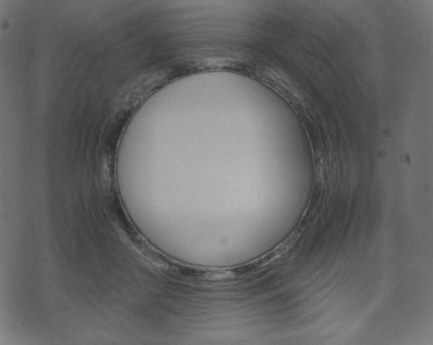 X0000071780410200606300922