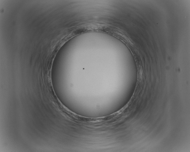 X0000071780411200606300922