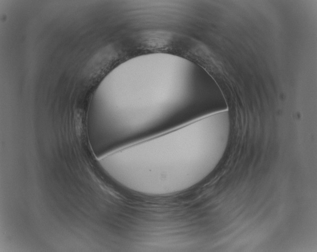 X0000071780412200606300922