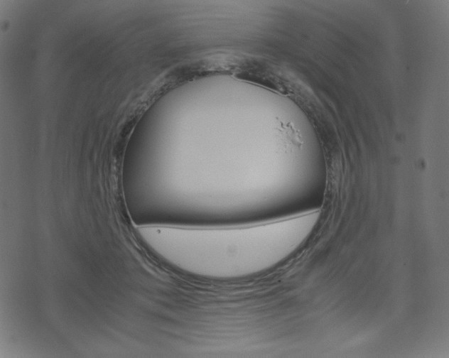 X0000071780413200606300922