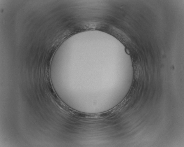 X0000071780414200606300922