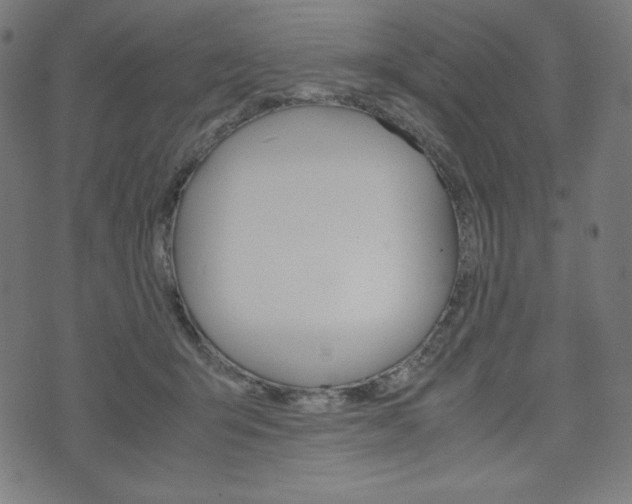 X0000071780415200606300922