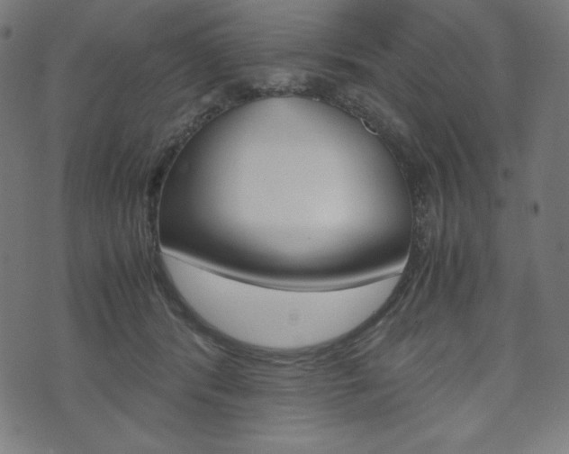 X0000071780416200606300922