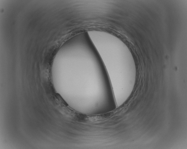 X0000071780417200606300922