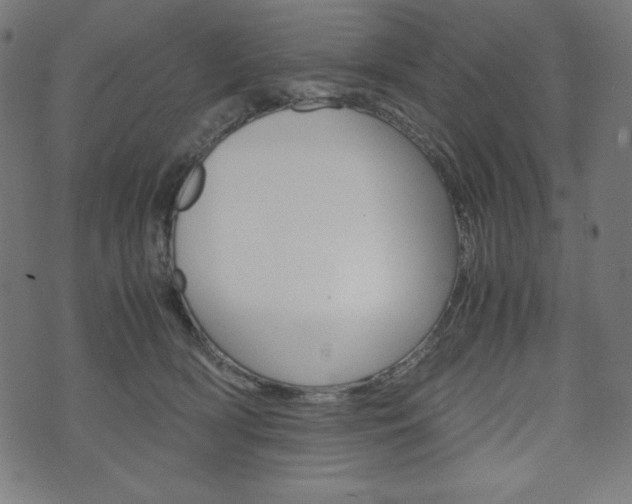 X0000071780418200606300922