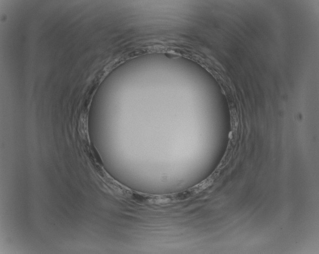 X0000071780419200606300922