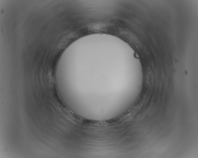 X0000071780420200606300922