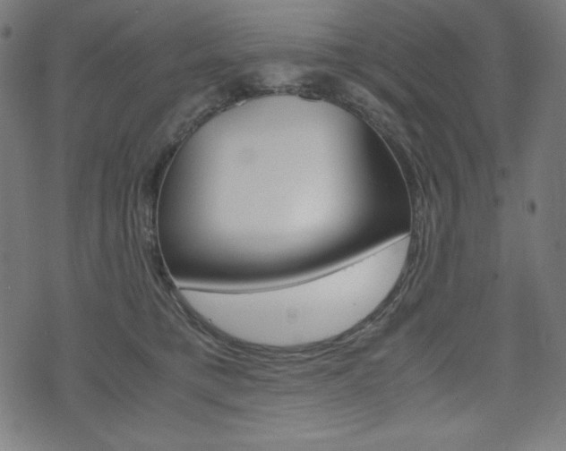 X0000071780421200606300922