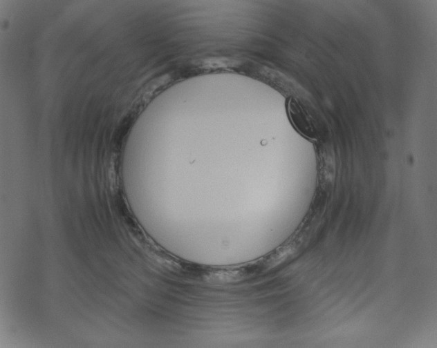 X0000071780422200606300922