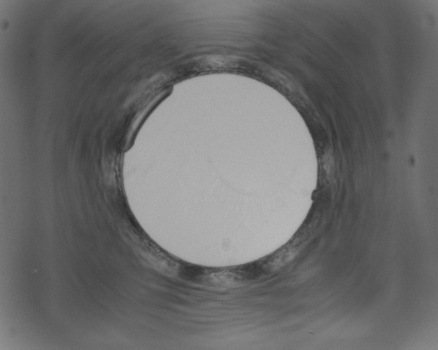 X0000071780423200606300922