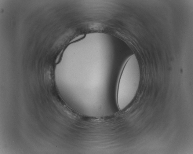 X0000071780424200606300922