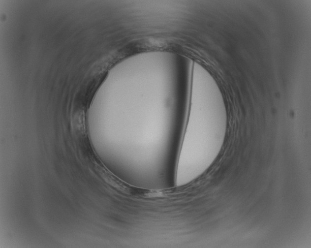 X0000071780425200606300922