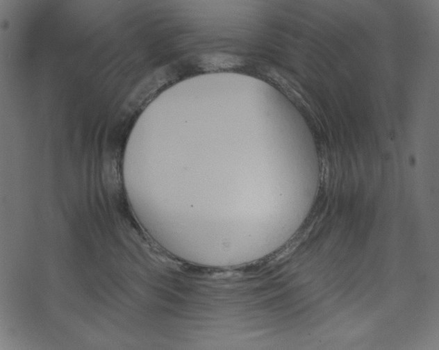 X0000071780426200606300922