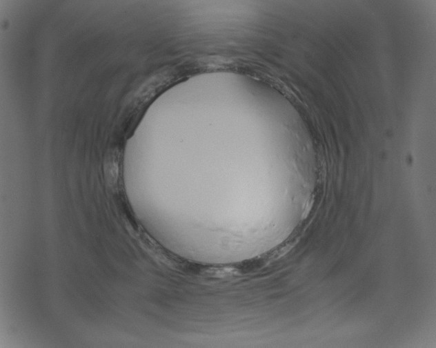 X0000071780427200606300922