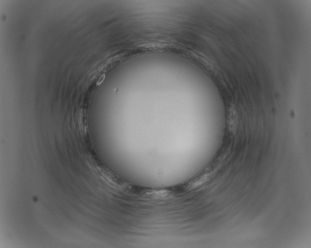 X0000071780428200606300921