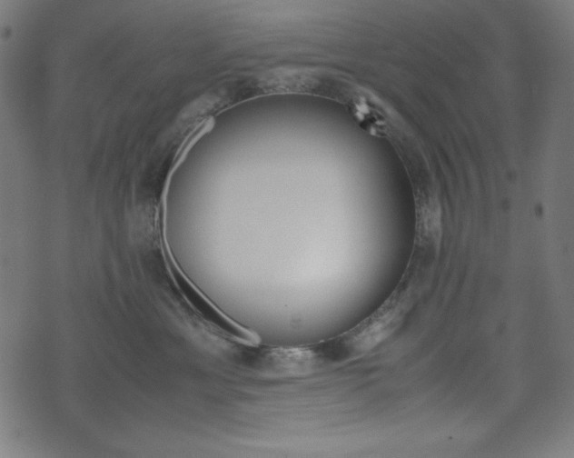 X0000071780429200606300921