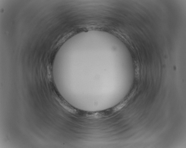 X0000071780430200606300921