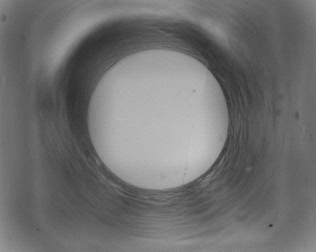 X0000071780431200606300921