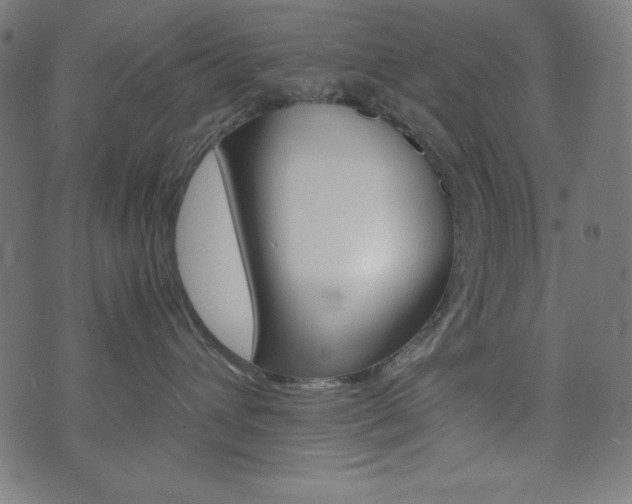 X0000071780432200606300921