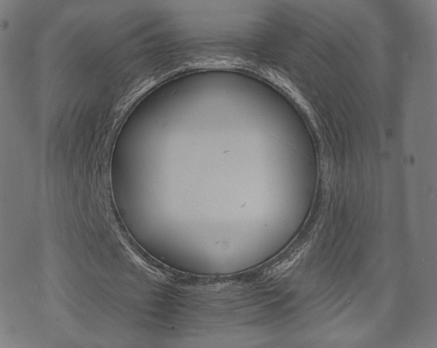 X0000071780433200606300921