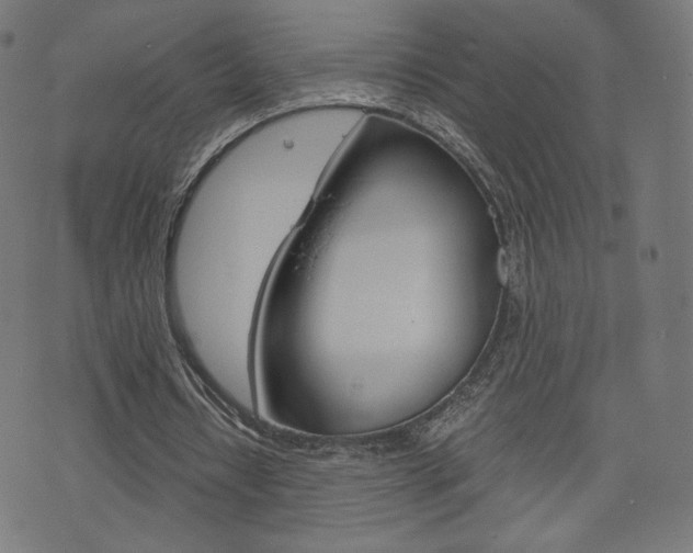 X0000071780434200606300921