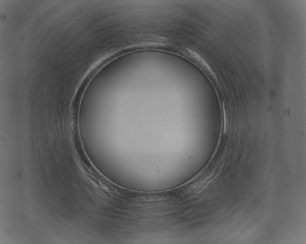 X0000071780435200606300921