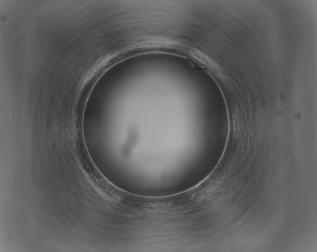 X0000071780436200606300921