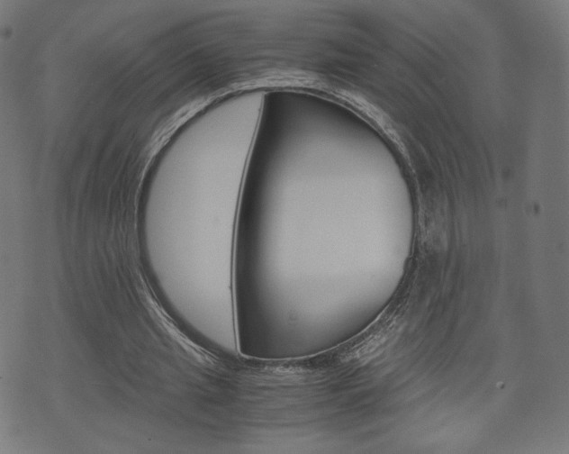 X0000071780437200606300921