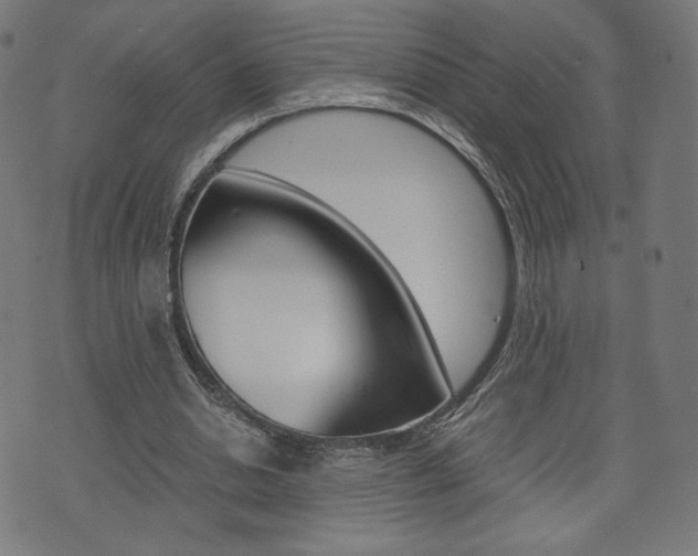 X0000071780438200606300921