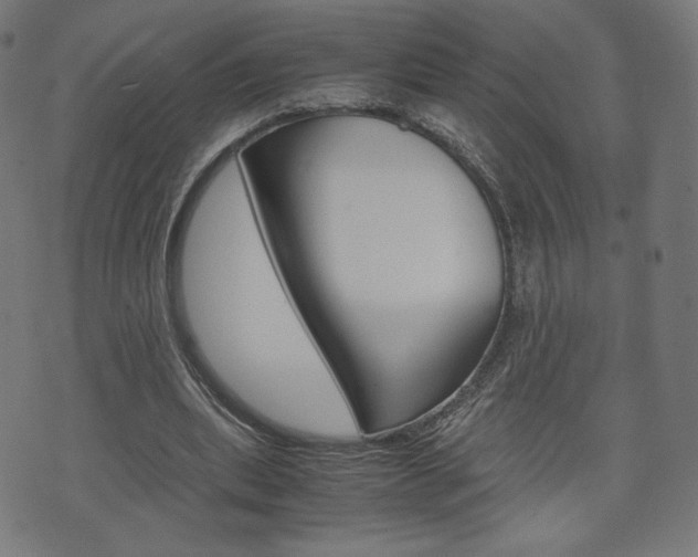 X0000071780439200606300921