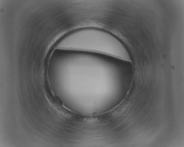 X0000071780440200606300921