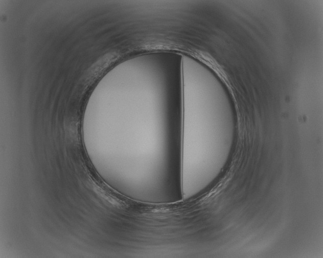 X0000071780441200606300921