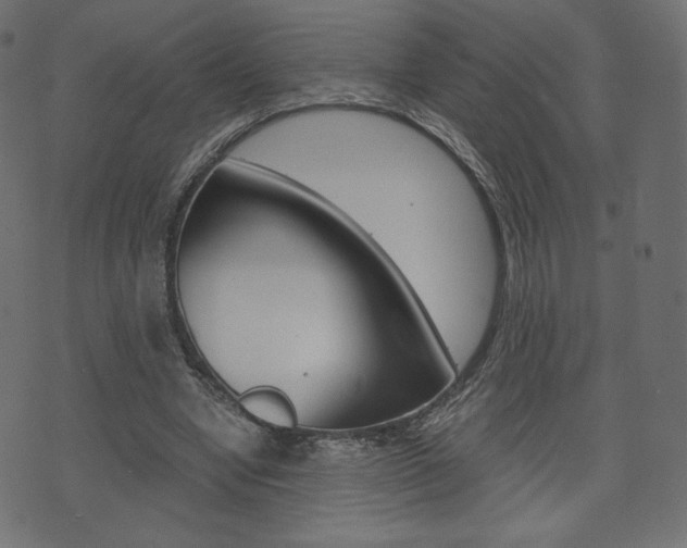 X0000071780442200606300921