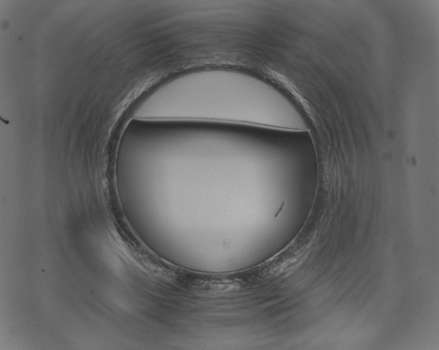 X0000071780443200606300921